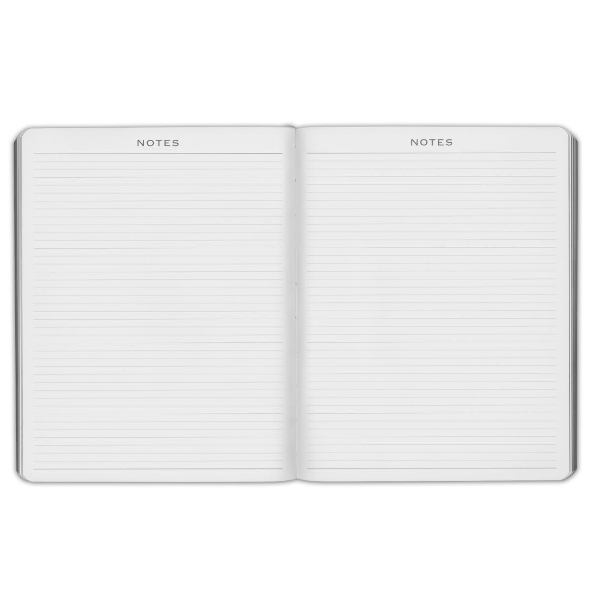 2025 Gallery Leather Family Planner for Moms - Elegant Bound 18-Month Calendar & Notebook with White Page Edges, Acadia Cactus Design, 9x7 Inches - Perfect for Home Organization, School Schedules & Work Planning