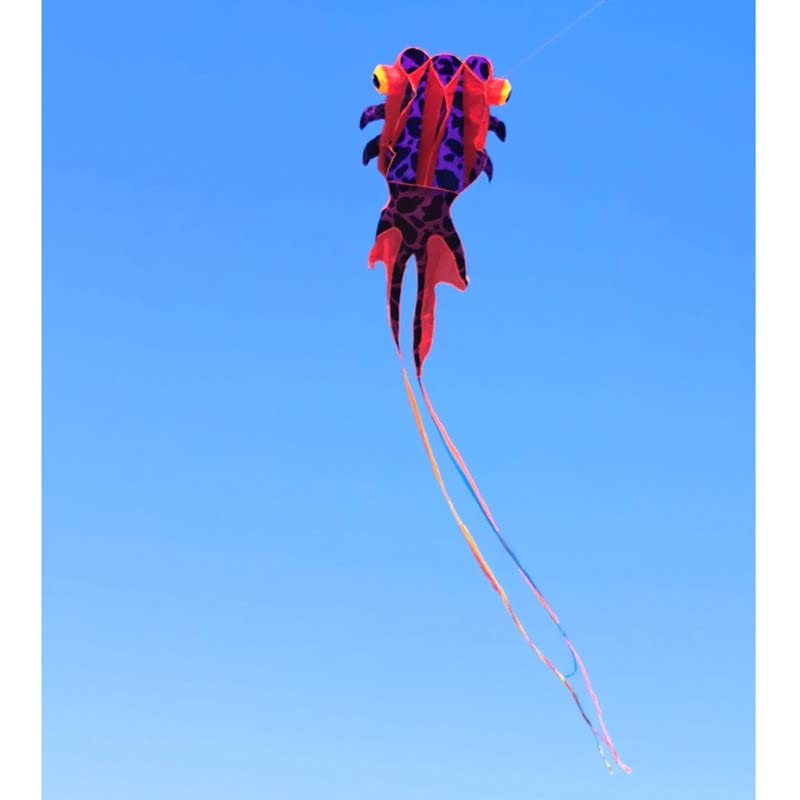 Rainbow Goldfish Kite for Kids - Easy to Assemble & Fly with 30M String | Beginner-Friendly Outdoor Toy for Beach, Park & Family Fun