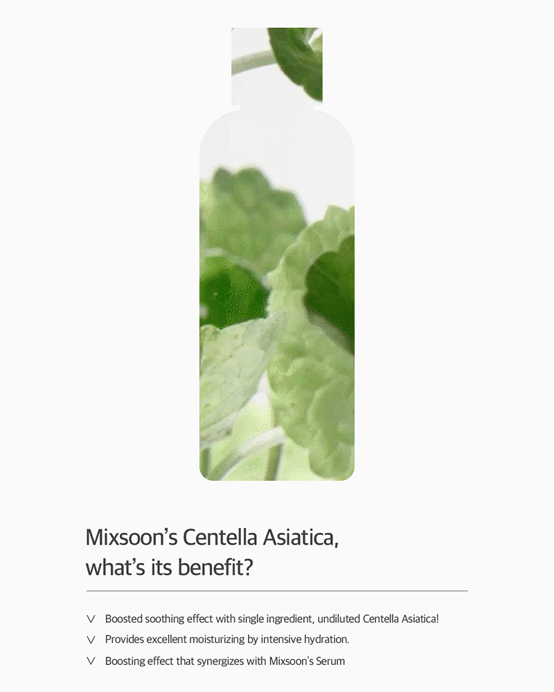 Mixsoon Centella Asiatica Toner - Soothing Facial Toner for Sensitive Skin | Hydrating & Calming Korean Skincare | Perfect for Daily Use & Post-Sun Care