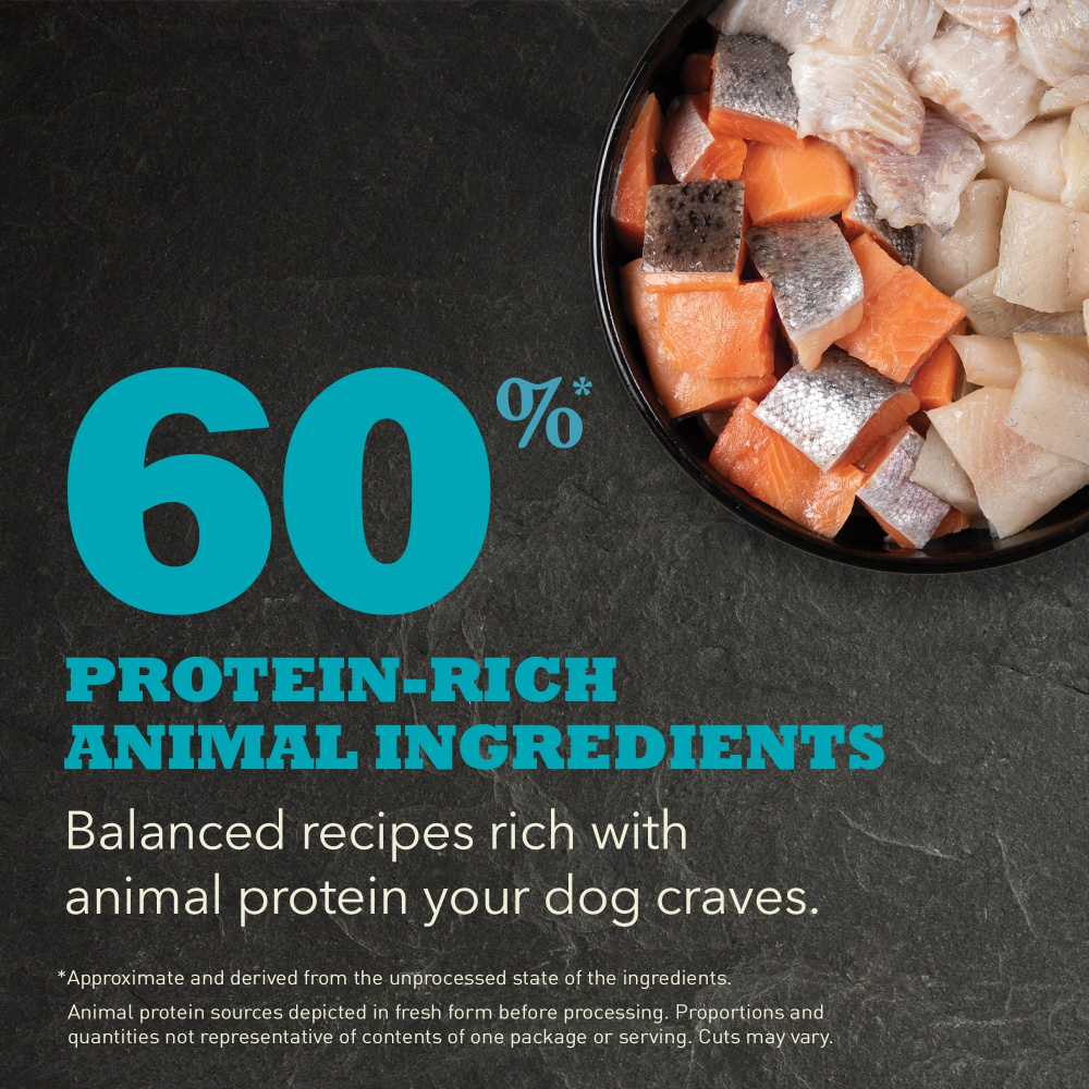 ACANA Freshwater Fish Recipe Dry Dog Food - High Protein Grain-Free Kibble for Adult Dogs - Perfect for Active & Sensitive Stomachs - Great for Outdoor Adventures & Daily Feeding