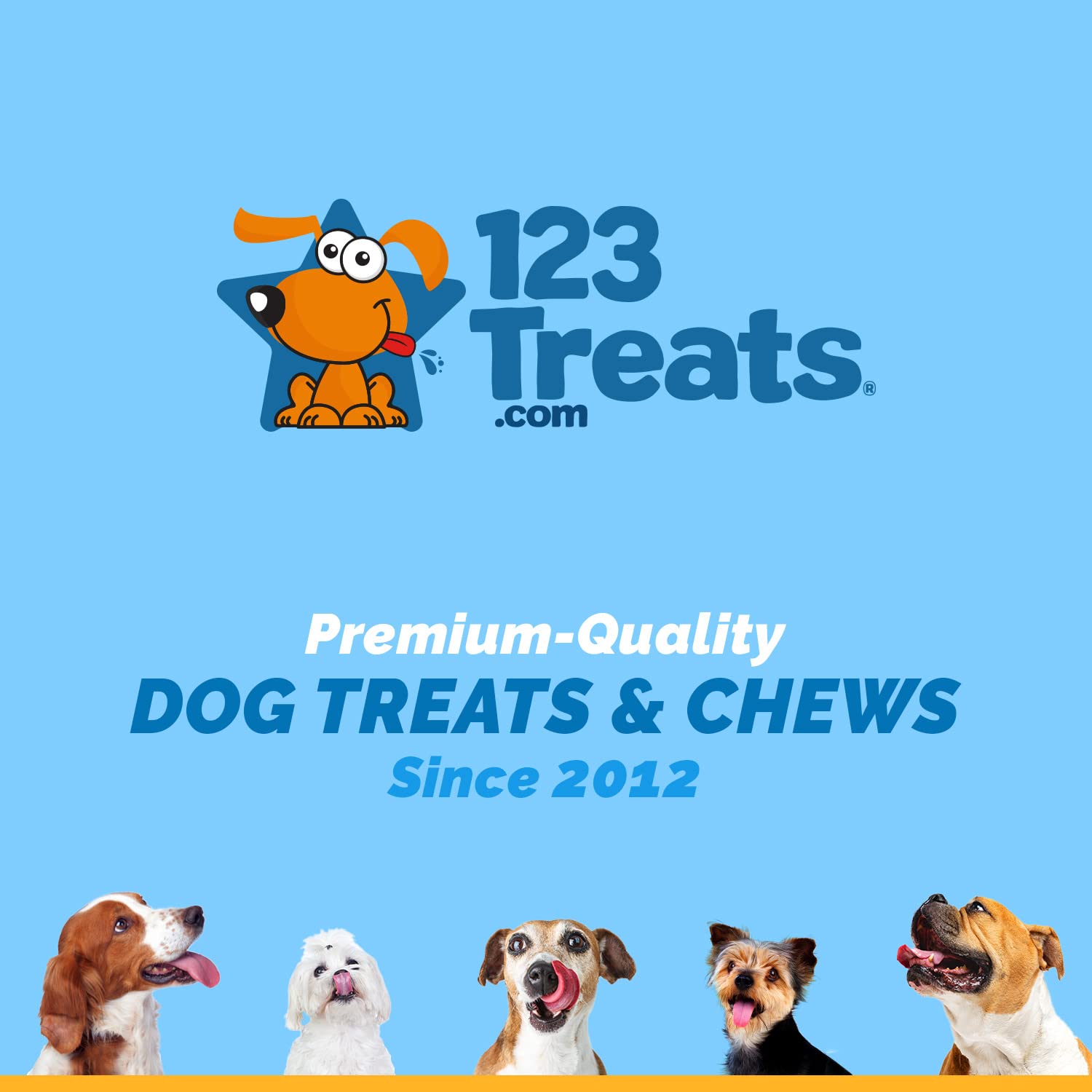 Premium Natural Beef Marrow Bones for Dogs - 3-4 Inch (6 Count) | Healthy, Digestible Dog Treats | Long-Lasting Chew Bones for Dental Health | Perfect for Training Rewards & Anxiety Relief