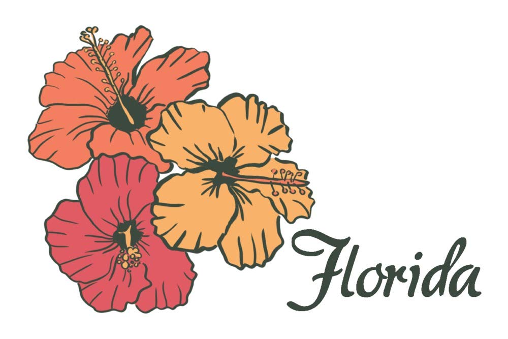 Florida Hibiscus Flowers Metal Wall Art - 24x36 Gallery Quality Aluminum Decor for Living Room, Bedroom & Office