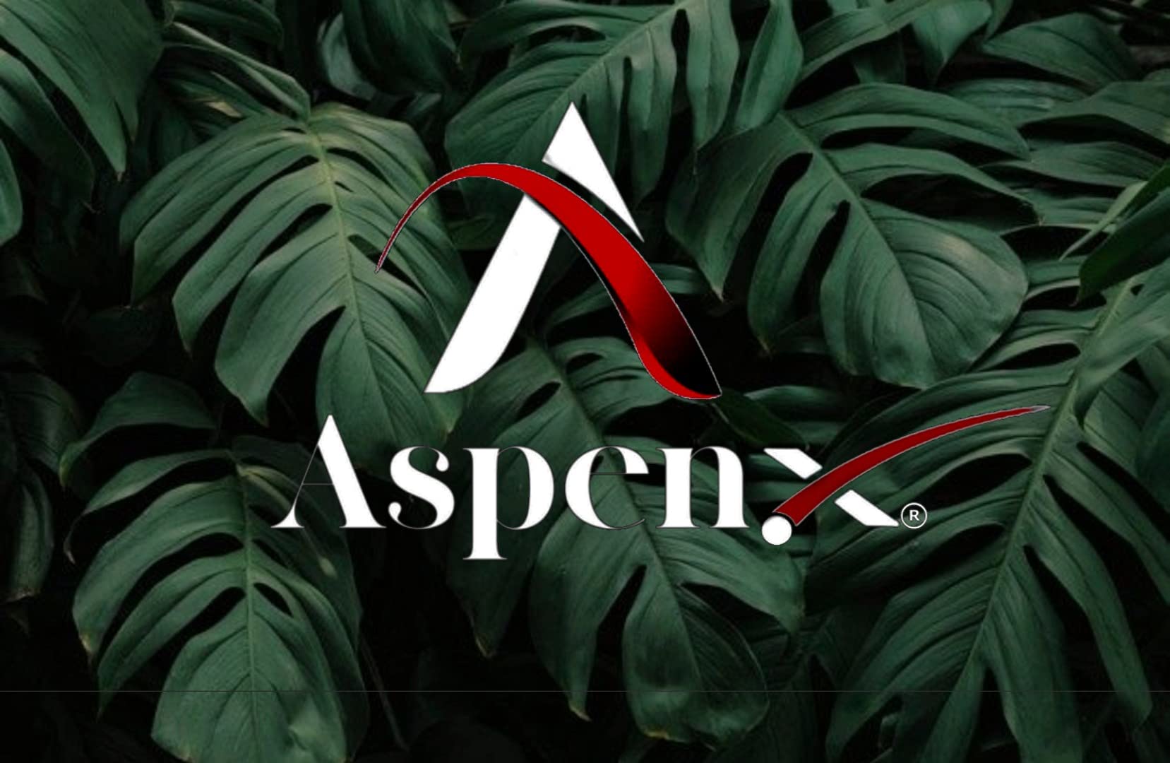 **AspenX Thermal Hair Spa Cap with Beauty Steamer – Deep Nourishing & Heating Treatment for Hair Growth – Perfect for At-Home Hair Care & Salon-Style Steam Therapy**    *(Ideal for Deep Conditioning, Keratin Treatments, Scalp Hydration & Relaxing Self-Care Sessions)*