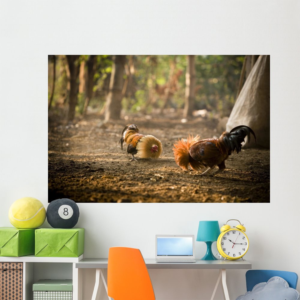 Wallmonkeys WM358097 Cock Fight Peel and Stick Wall Decals - 72