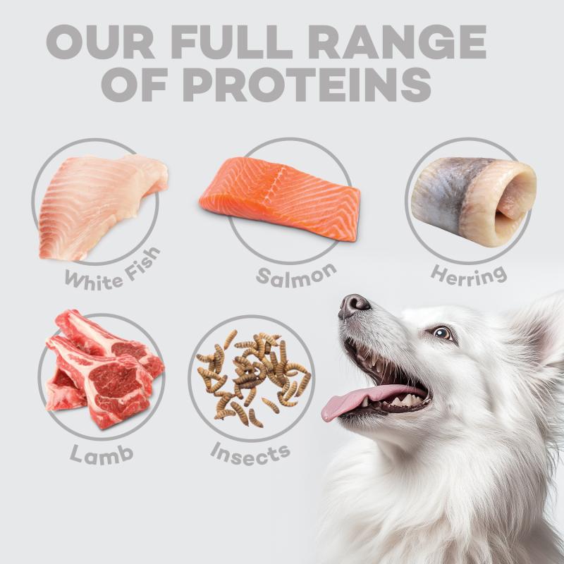 Premium Puppy Food for Light Coat Dogs (Up to 4 Months) - Salmon Recipe for All Breeds - Ideal for Growing Puppies & Coat Maintenance
