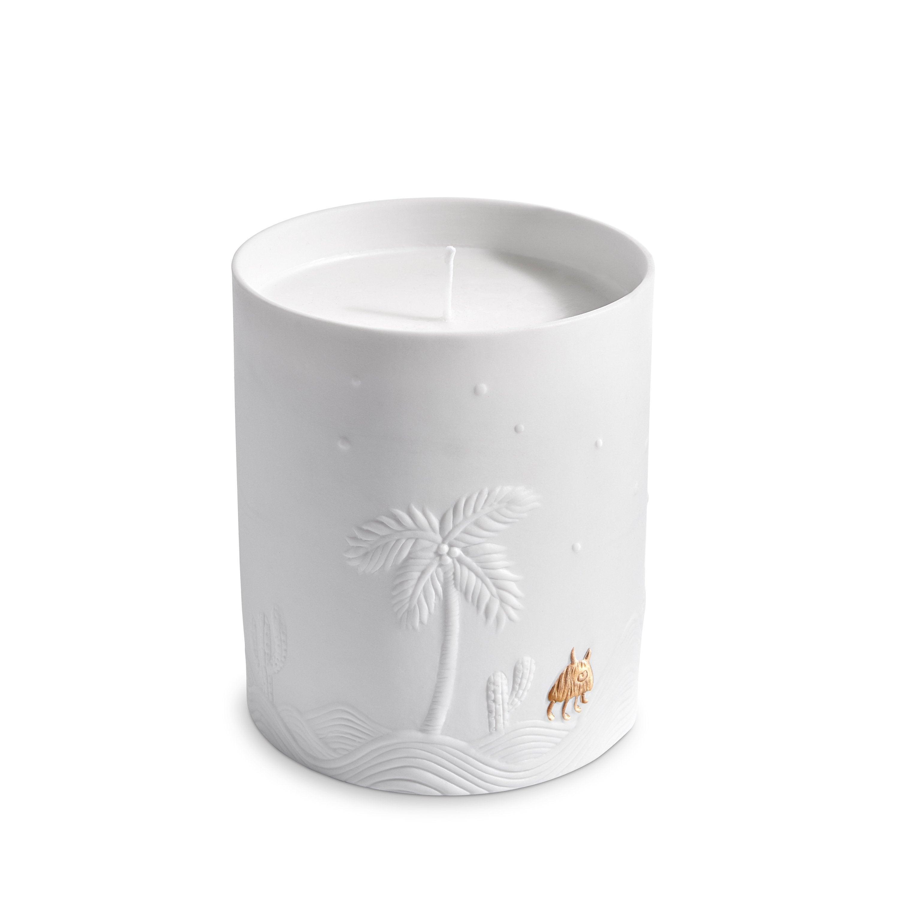 Haas Mojave Palm Candle - Natural Soy Wax Scented Candle for Home & Relaxation | Perfect for Aromatherapy, Meditation, and Cozy Evenings