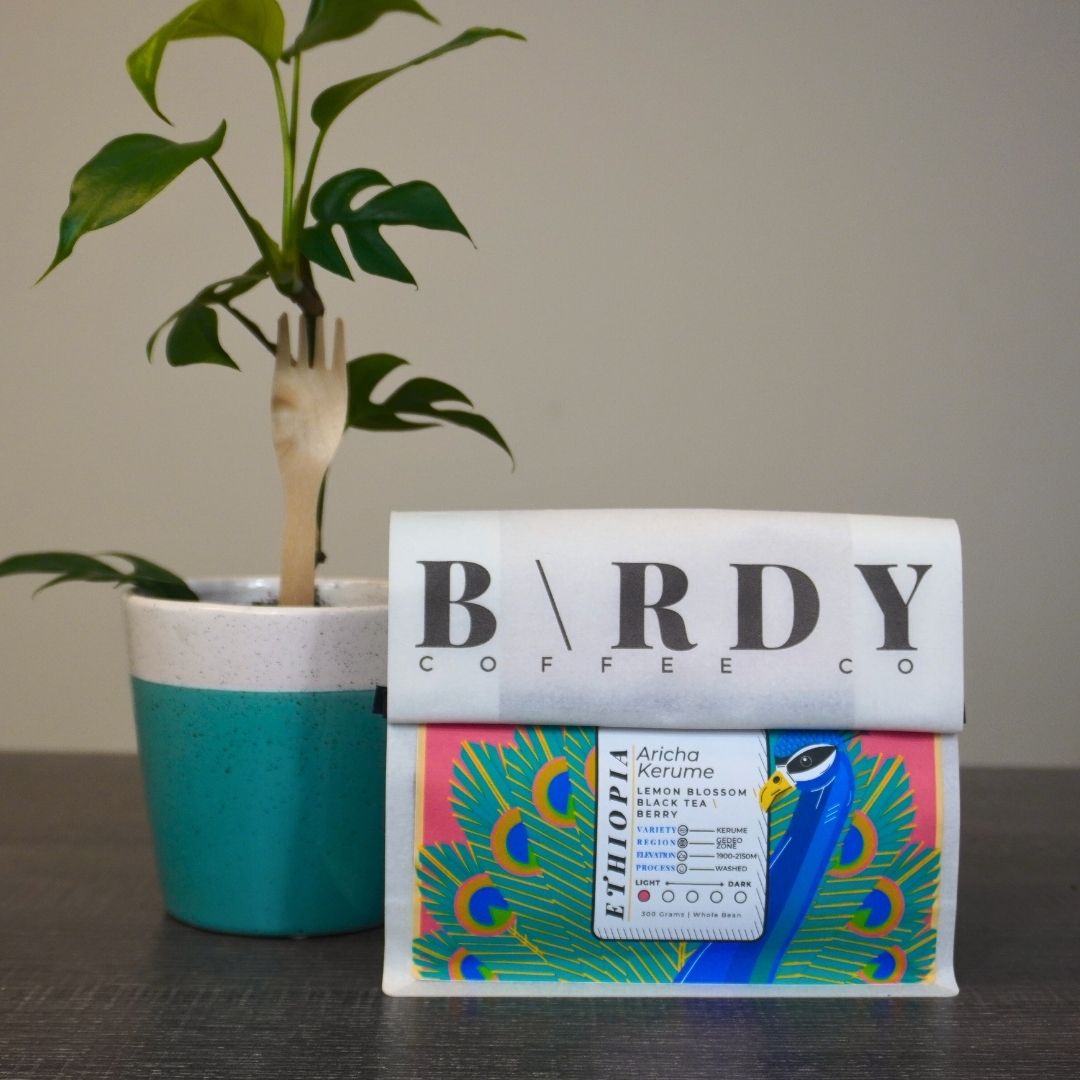 Premium Ethiopia Aricha Kerume Single Origin Coffee Beans by Birdy Coffee Co. - Fresh Roasted Specialty Grade Arabica for Pour Over, French Press & Espresso Brewing
