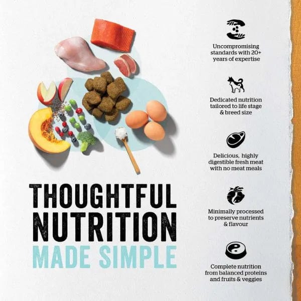 Now Fresh Turkey, Salmon & Duck Recipe Large Breed Dry Puppy Food - Premium Grain-Free Nutrition for Growing Big Dogs - Perfect for Active Puppies & Large Breed Development