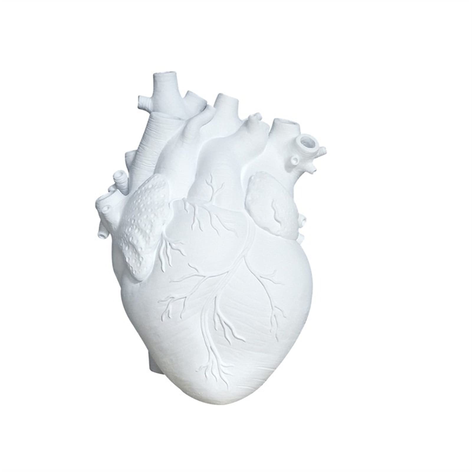YYYHD Anatomical Heart Shaped Vase - Unique Home Decor Sculpture for Flowers, Plants & Desktop Display | Perfect for Valentine's Gifts, Gothic Decor & Boho Chic Interiors