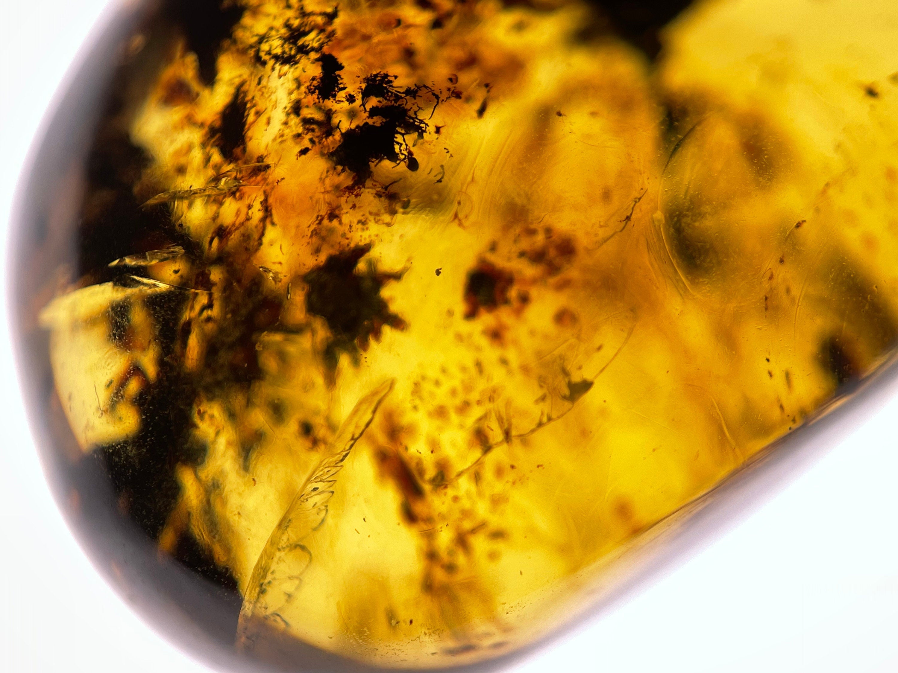 AMBER Crystal Necklace - Handmade Healing Stone Pendant Jewelry for Women, Natural Baltic Amber Gemstone Gift for Her | Perfect for Meditation, Energy Healing & Spiritual Wellness