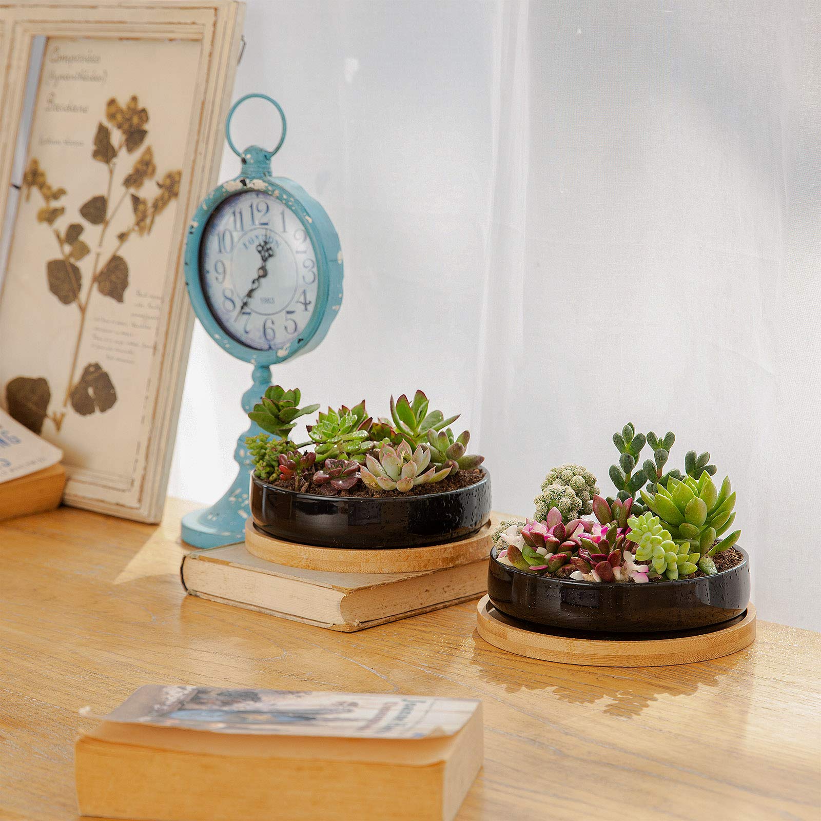 2 Pack 6 Inch Black Ceramic Succulent Plant Pots with Bamboo Tray & Drainage Hole - Indoor Flower Planters for Home, Office, Garden Decor | Perfect for Cactus, Aloe Vera & Small Houseplants