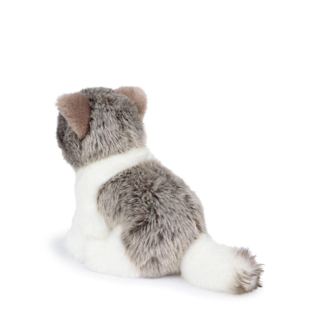 B.T. Chaps Amelie The Scottish Fold Cat Plush Toy in Gift Box - 17cm (6.5 inch) Cute Stuffed Animal for Kids & Cat Lovers - Perfect Gift for Birthdays, Valentine's Day & Christmas