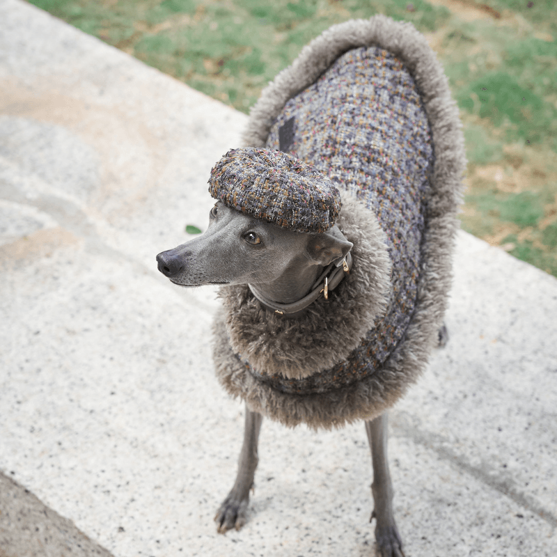 Stylish Jupiter Dog Beret - Fashionable Pet Hat for Small & Medium Dogs - Perfect for Photos, Parties & Outdoor Adventures
