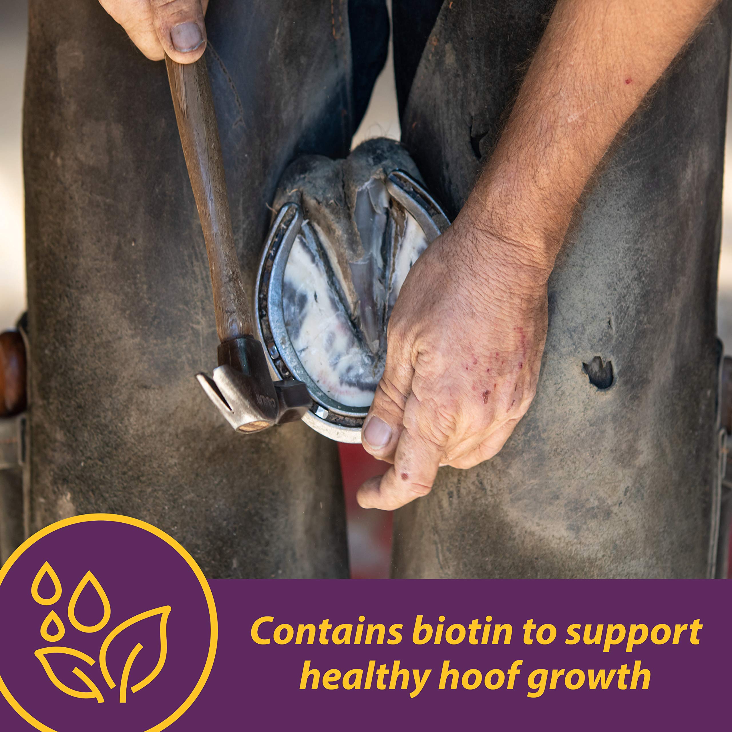 Farnam Horse Health Vita Biotin Crumbles - Premium Hoof Supplement for Strong Hooves & Healthy Growth (20 lbs, 320-Day Supply) | Ideal for Performance Horses, Breeding Mares & Equine Hoof Care