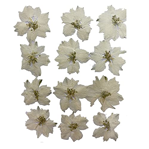 Natural White