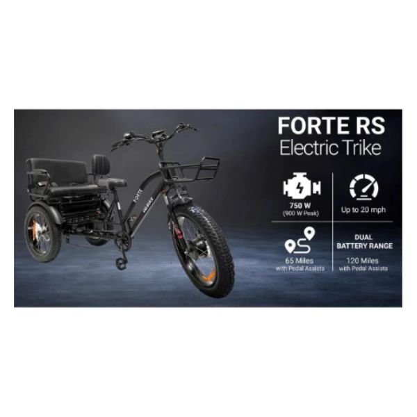 Go Bike FORTE Electric Tricycle for Adults with Rear Seat - Commuter, Grocery Shopping & Family Outings Electric Trike