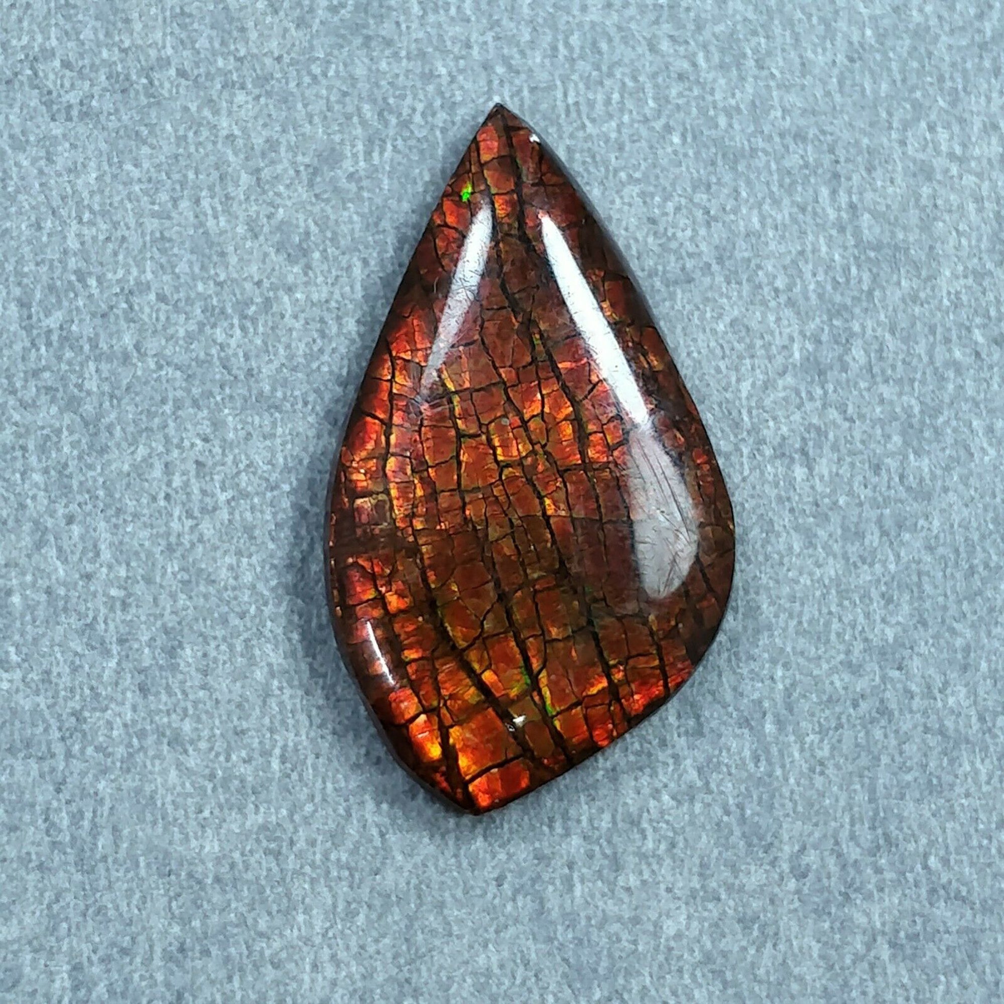 Natural AMMOLITE Gemstone Cabochon - Bi-Color Fossilized Shell, 23.5x15mm & 26x16mm, Handmade Jewelry Making, Unique Uneven Shape - Perfect for Rings, Pendants & DIY Craft Projects