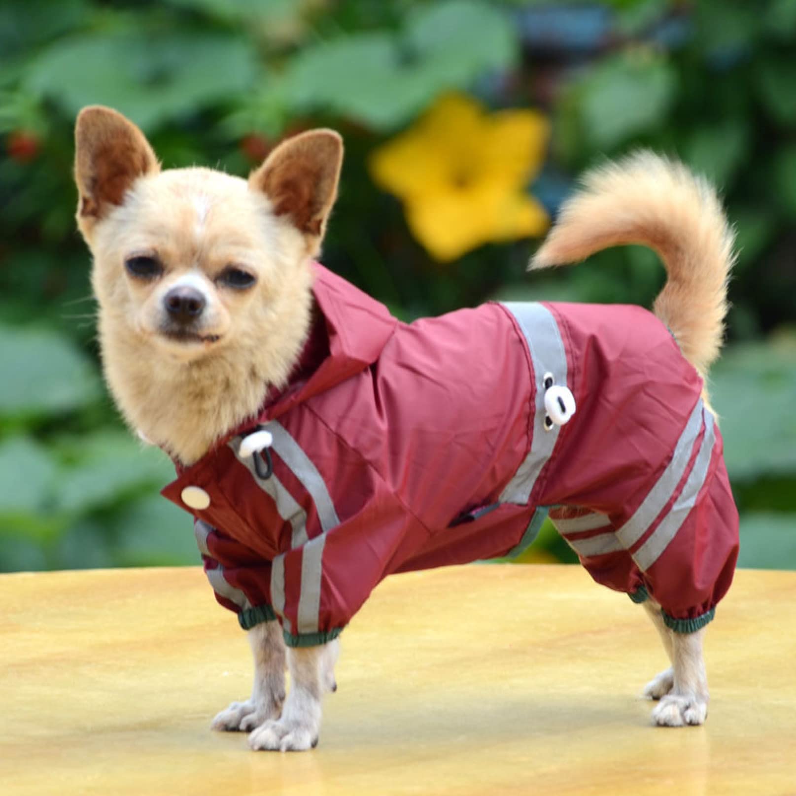 Waterproof Dog Raincoat - Breathable & Lightweight Pet Jumpsuit for Small Medium Large Dogs | All-Weather Outdoor Protection for Walking, Hiking & Rainy Day Adventures