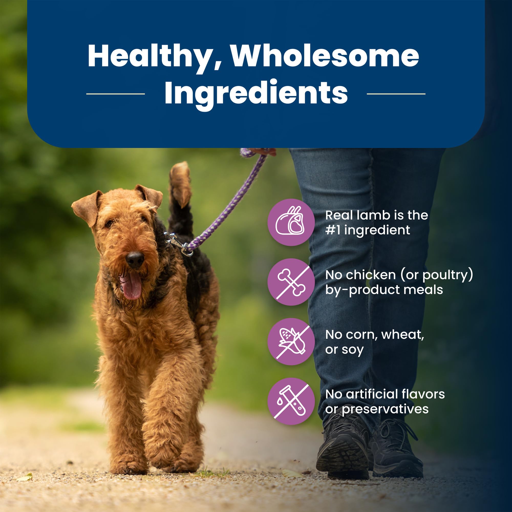 Blue Buffalo Life Protection Formula Large Breed Adult Dry Dog Food - Natural Lamb & Brown Rice Recipe for Joint Health & Lean Muscles, 34lb Bag | Ideal for Active Large Dogs & Senior Canine Care