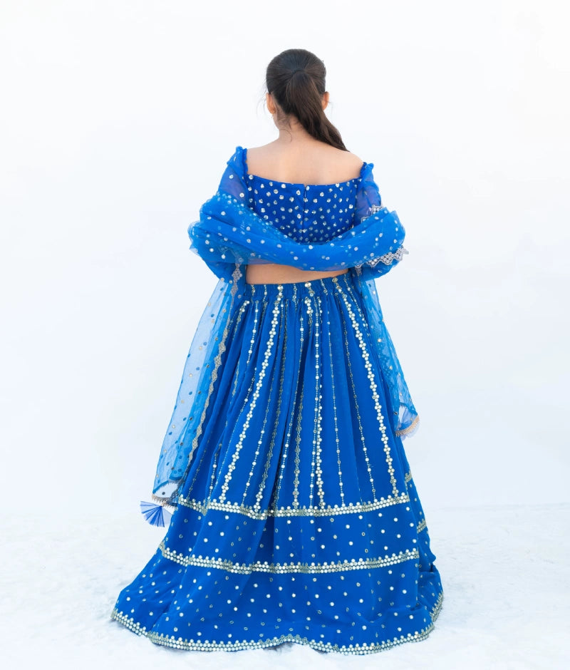 Pre Order: Blue Embroidered Lehenga Set for Women | Indian Traditional Bridal Wear | Wedding, Festival & Party Outfit