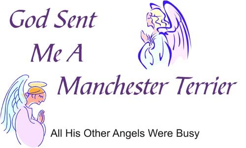 Cahoon's Closet God Sent Me A Manchester Terrier T-Shirt - Funny Dog Lover Gift for Men & Women - Perfect for Casual Wear, Pet Owner Apparel, and Dog-Themed Parties