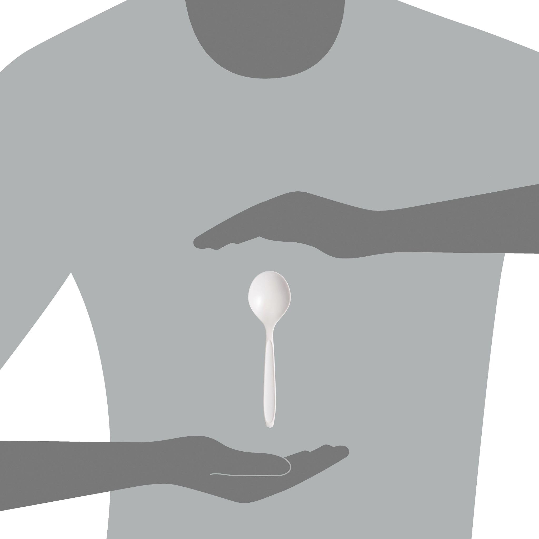 Bulk Pack of 1000 Solo RSWS-0007 Medium Weight White PS Soup Spoons - Durable Disposable Plastic Spoons for Restaurants, Catering, Parties & Food Service
