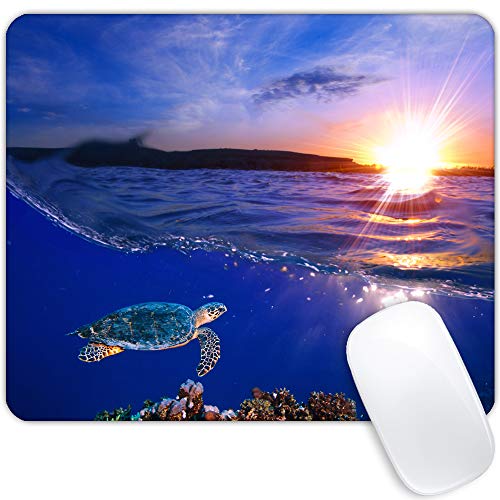 Sea turtle