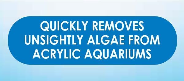 Natural Algae Hand Pad for Acrylic Nails - Exfoliating & Gentle Nail Care Tool for Manicures & Pedicures at Home or Salon