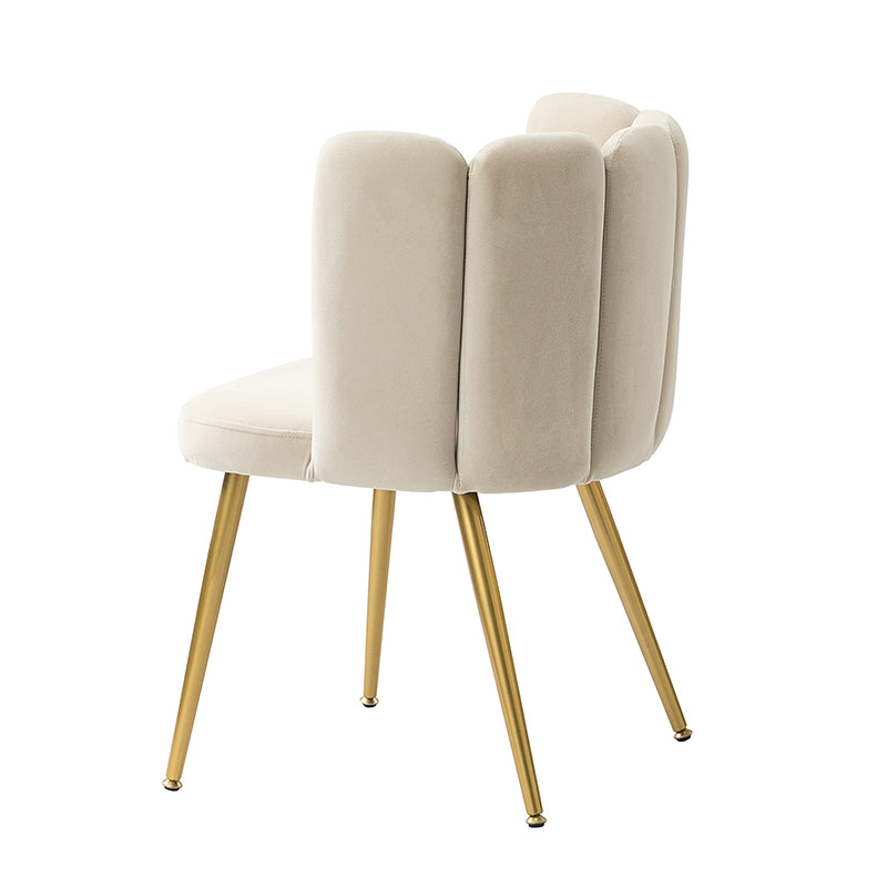Elodia Side Chair - Modern Accent Chair for Dining Room, Living Room & Office - Sturdy Wooden Frame with Upholstered Seat - Perfect for Home Decor & Small Spaces