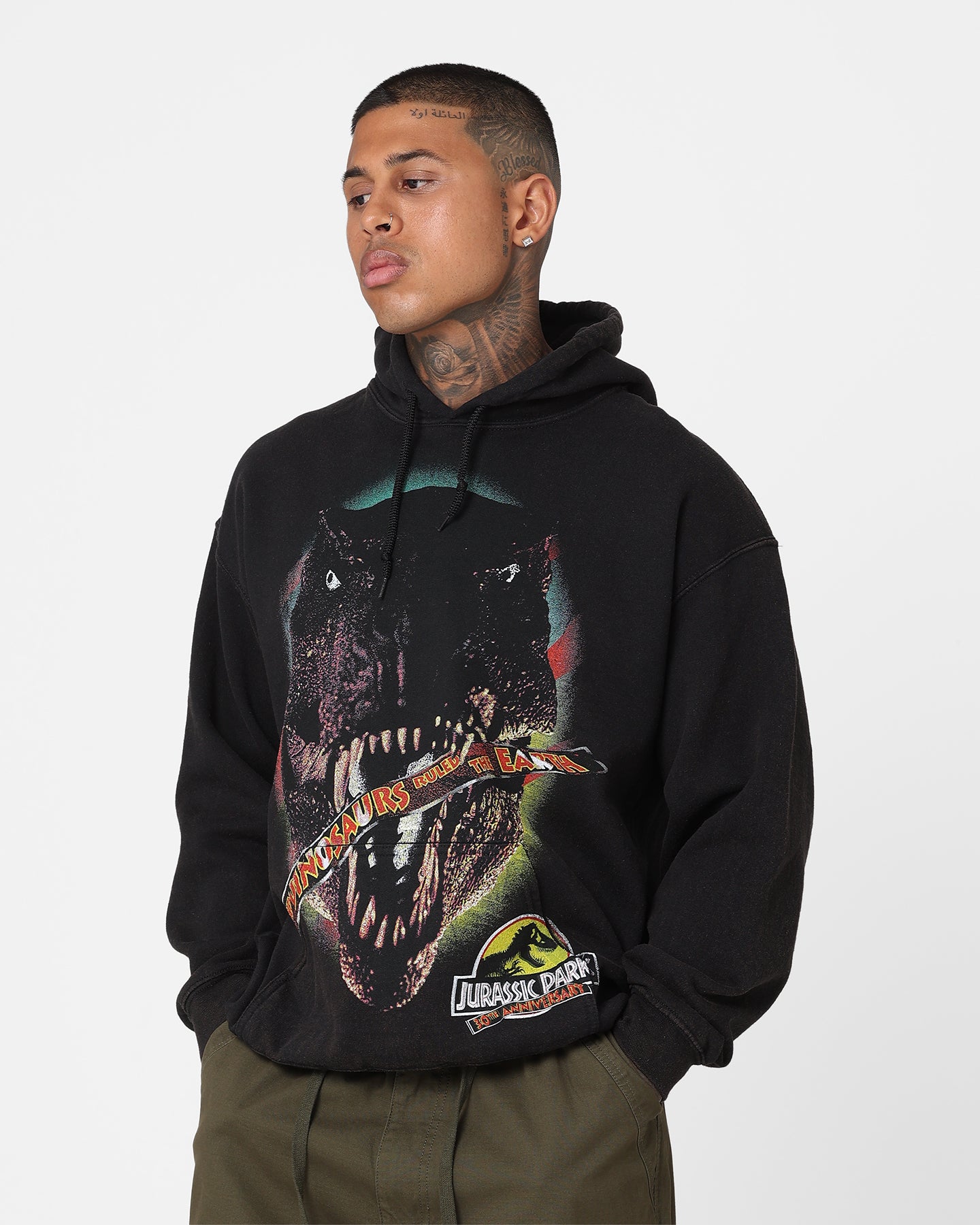 American Thrift Jurassic Park 30th Anniversary Vintage Hoodie - Black Distressed Wash - Perfect for Movie Nights & Retro Fashion Lovers