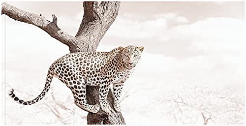 Leopard on Branch