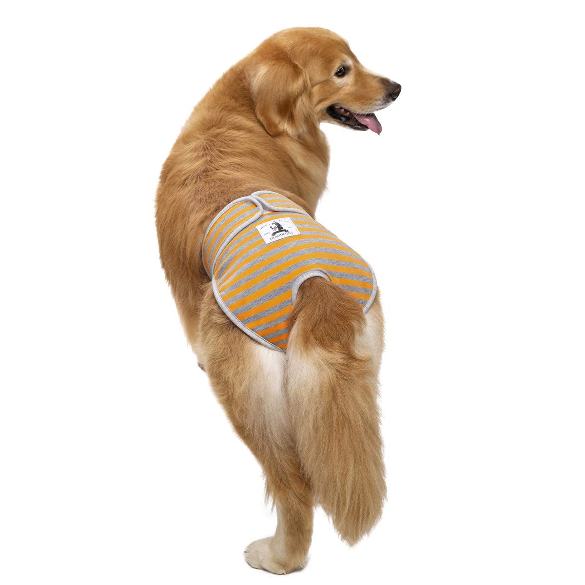 3 Pack Washable Reusable Dog Diapers for Female Dogs - Adjustable Velcro Waistline, Large Medium Breed, for Heat & Incontinence - Perfect for Indoor Use, Travel & Post-Surgery Care