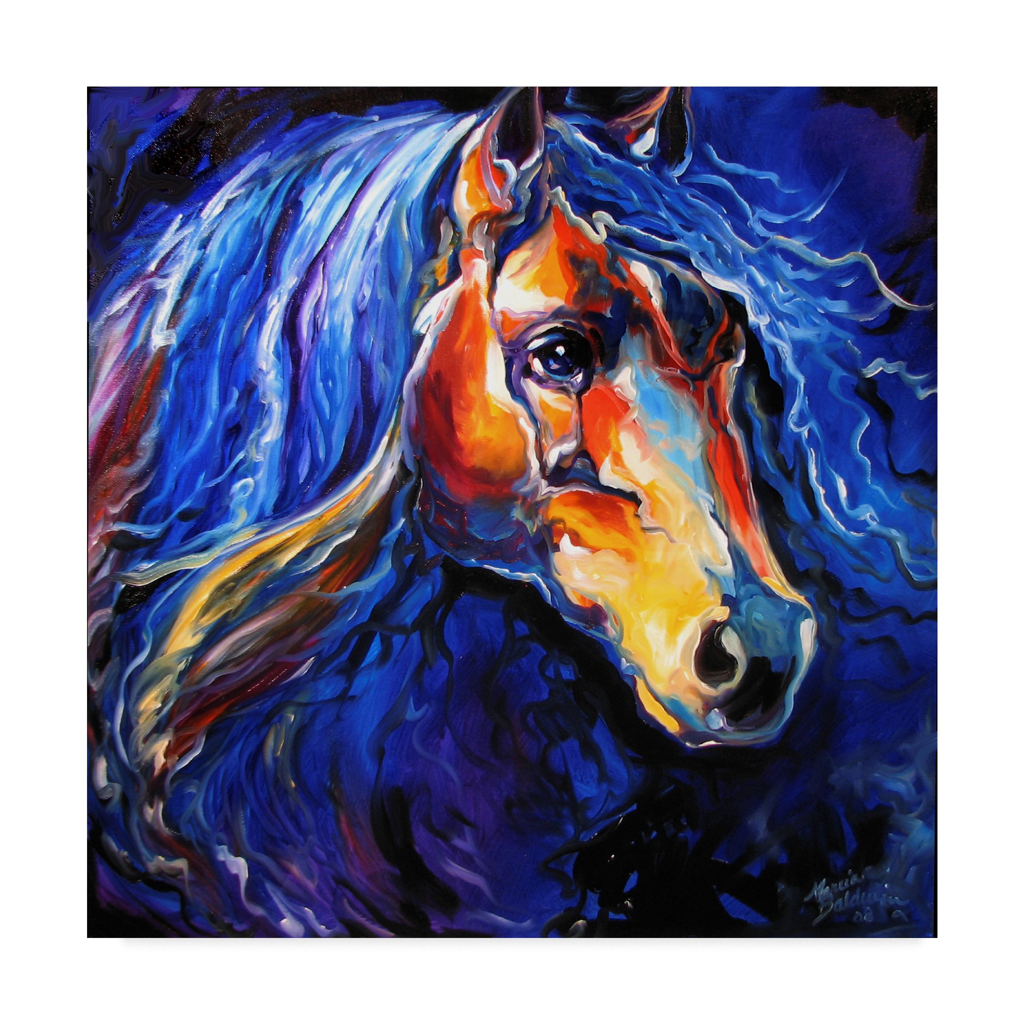 Trademark Fine Art Marcia Baldwin Multicolor Canvas Painting - Elegant Home Decor for Living Room, Bedroom & Office Wall Art