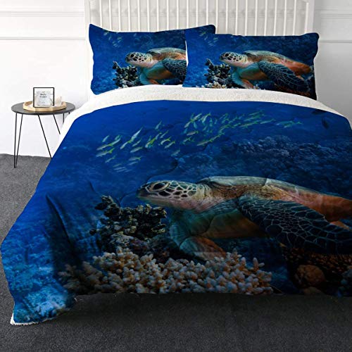 Sea Turtle