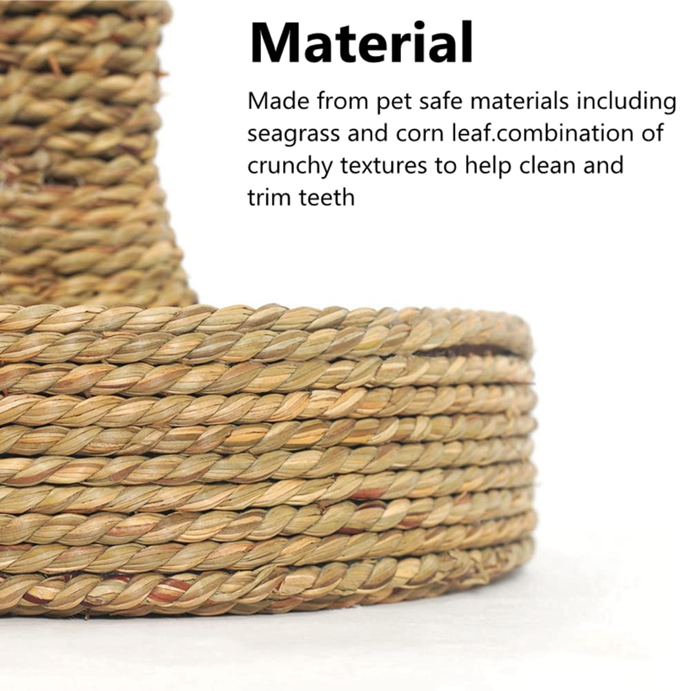 Ferret Scratcher Tree - Bunny Chew Toys for Cats & Small Animals - Rattan Grass Scratcher & Climbing Tree with Carrot Play Toys - Guinea Pig Tooth Cleaning Toy (Seagrass) - Perfect for Playtime & Dental Care