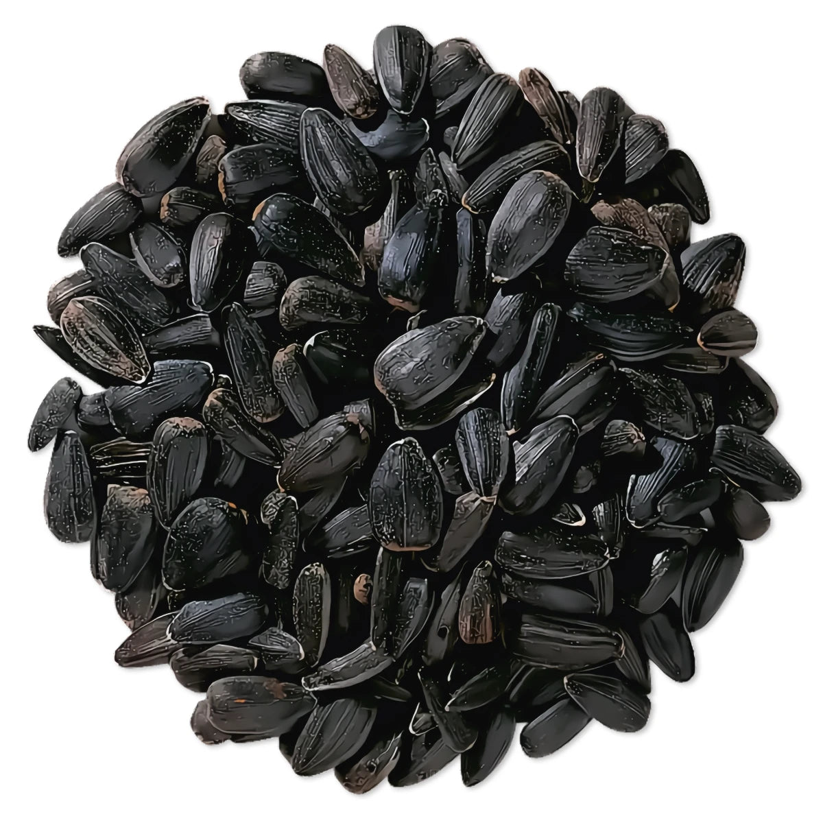 Premium Black Oil Sunflower Wild Bird Seed for Backyard Birds - 5 lb Bag - High Energy Food for Cardinals, Finches & Woodpeckers - Perfect for Bird Feeders & Wildlife Gardens