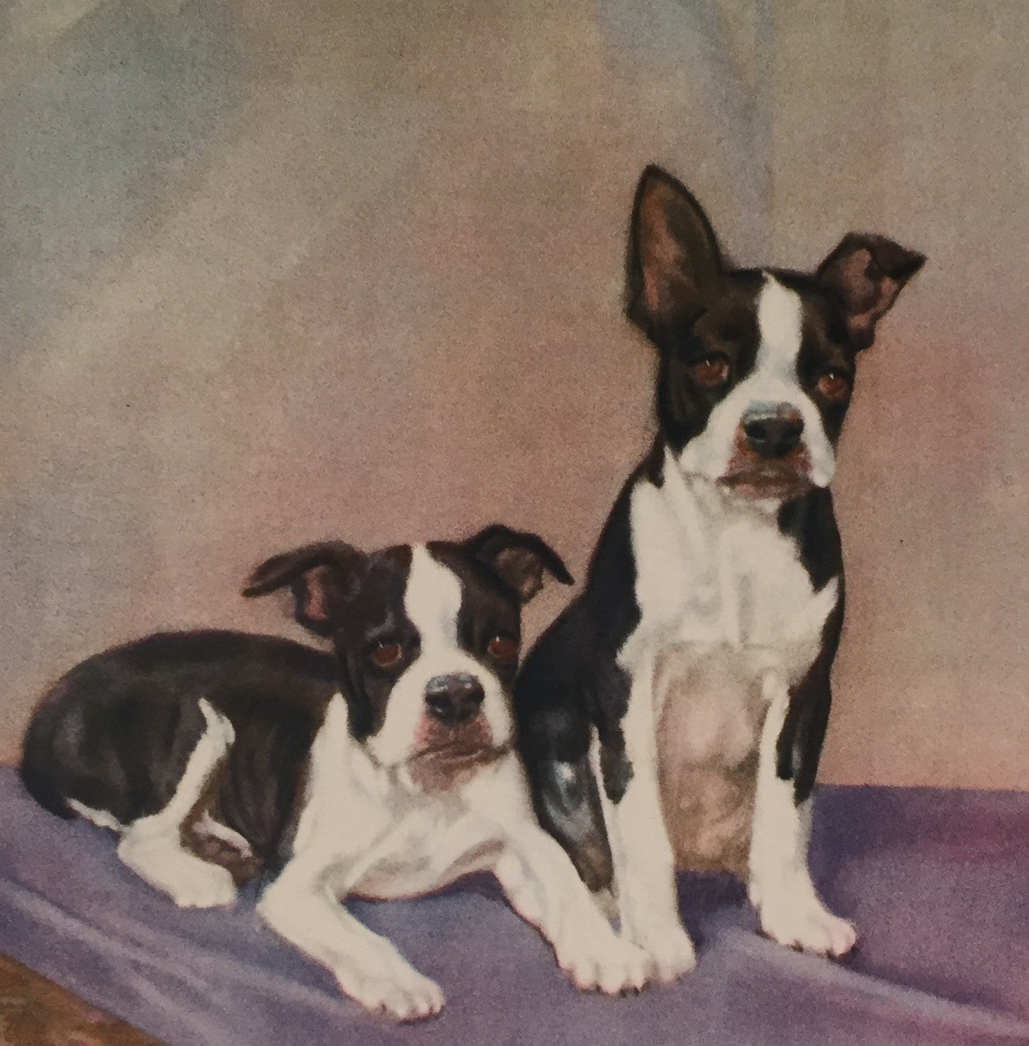 Vintage 1930s American Bulldog Puppy Portrait - Classic Dog Painting for Home Decor, Wall Art & Gift Ideas - Perfect for Living Room, Office or Pet Lover's Collection