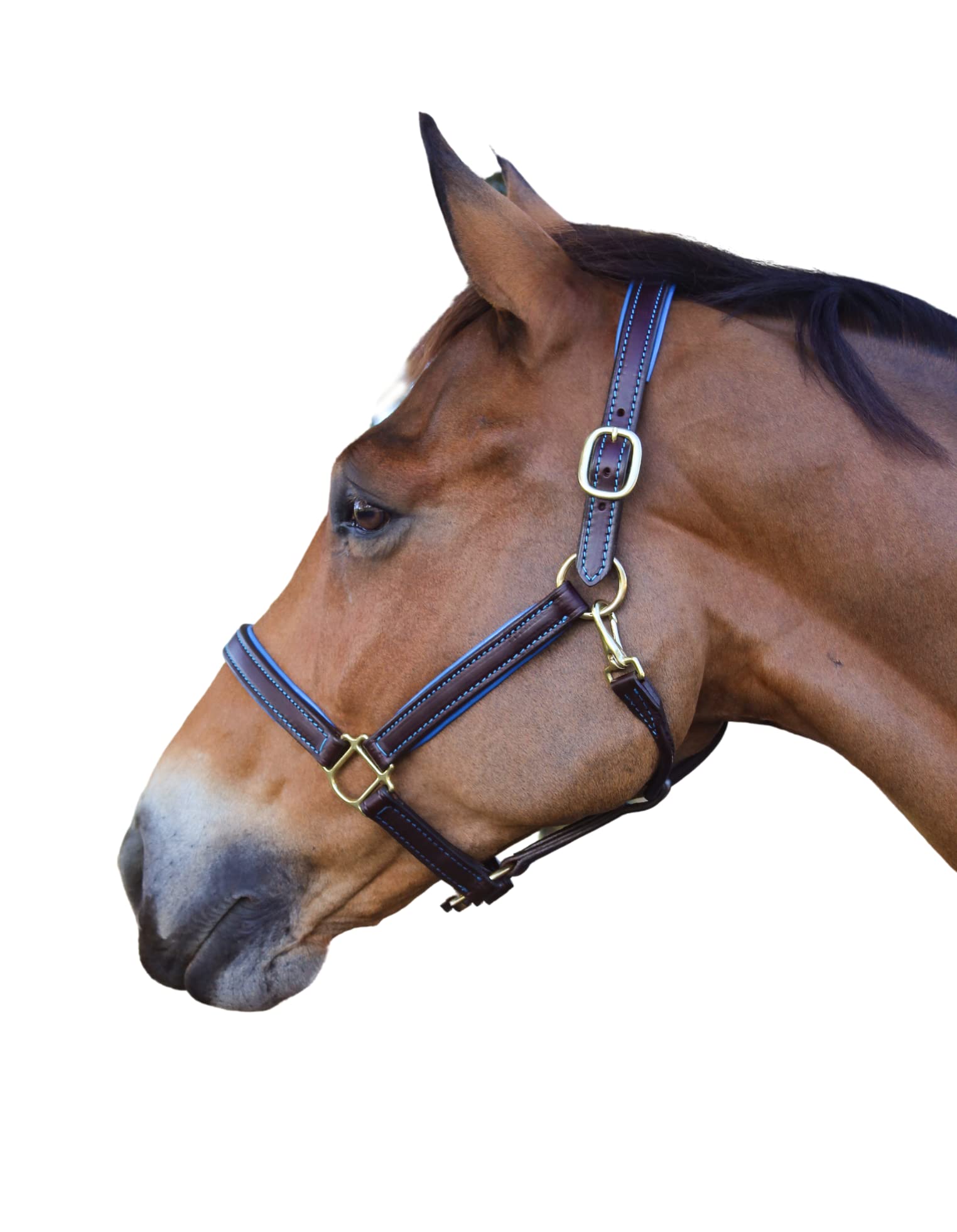 Custom Engraved Leather Horse Halter with Adjustable Chin Snap - Personalized Name Plate Padded Halter for Show, Training & Trail Riding