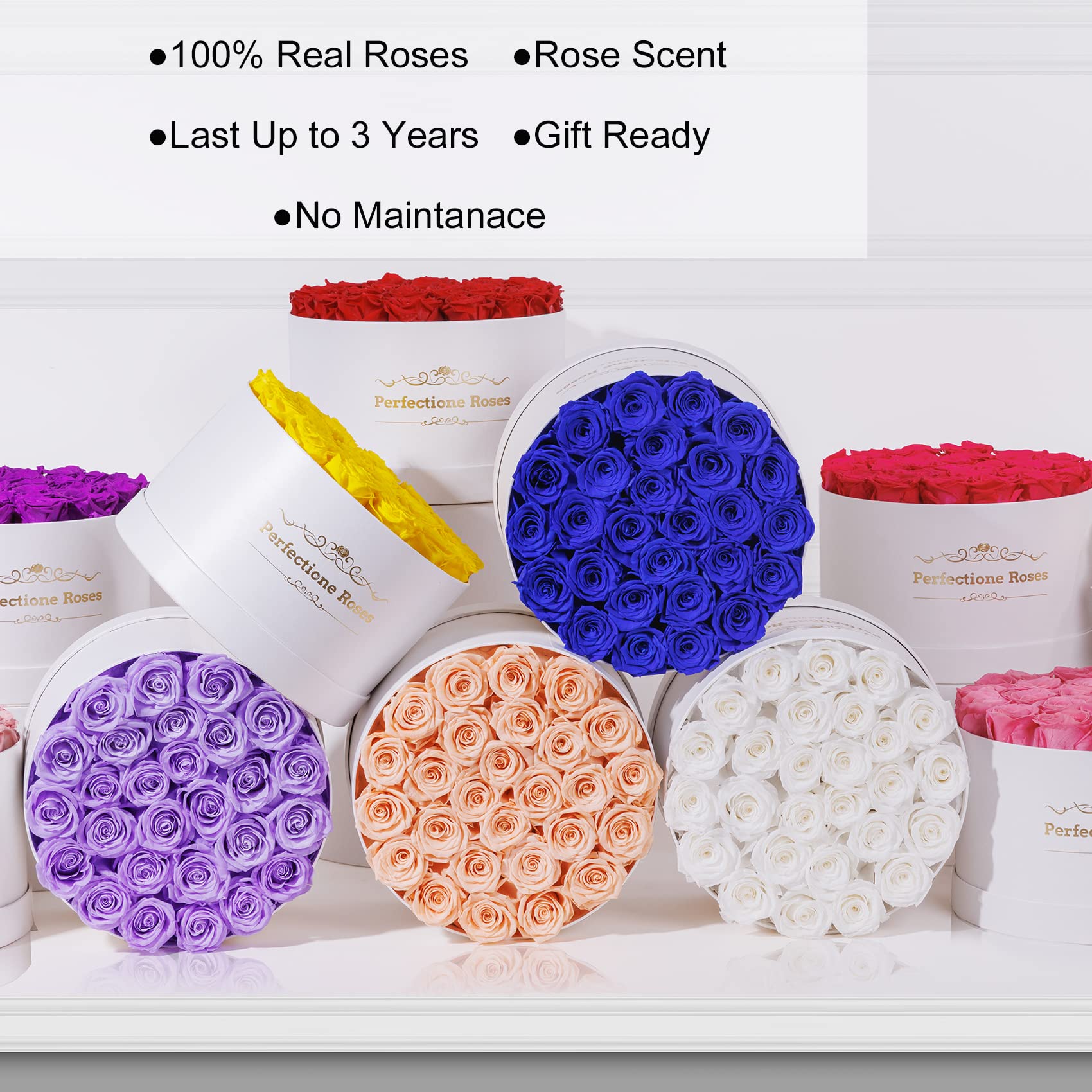 Perfectione Preserved Real Roses in a Box - Lasts 3 Years | Luxury Birthday & Mother's Day Gift for Women | Perfect for Home Decor, Wedding Centerpieces & Romantic Surprises (Red)