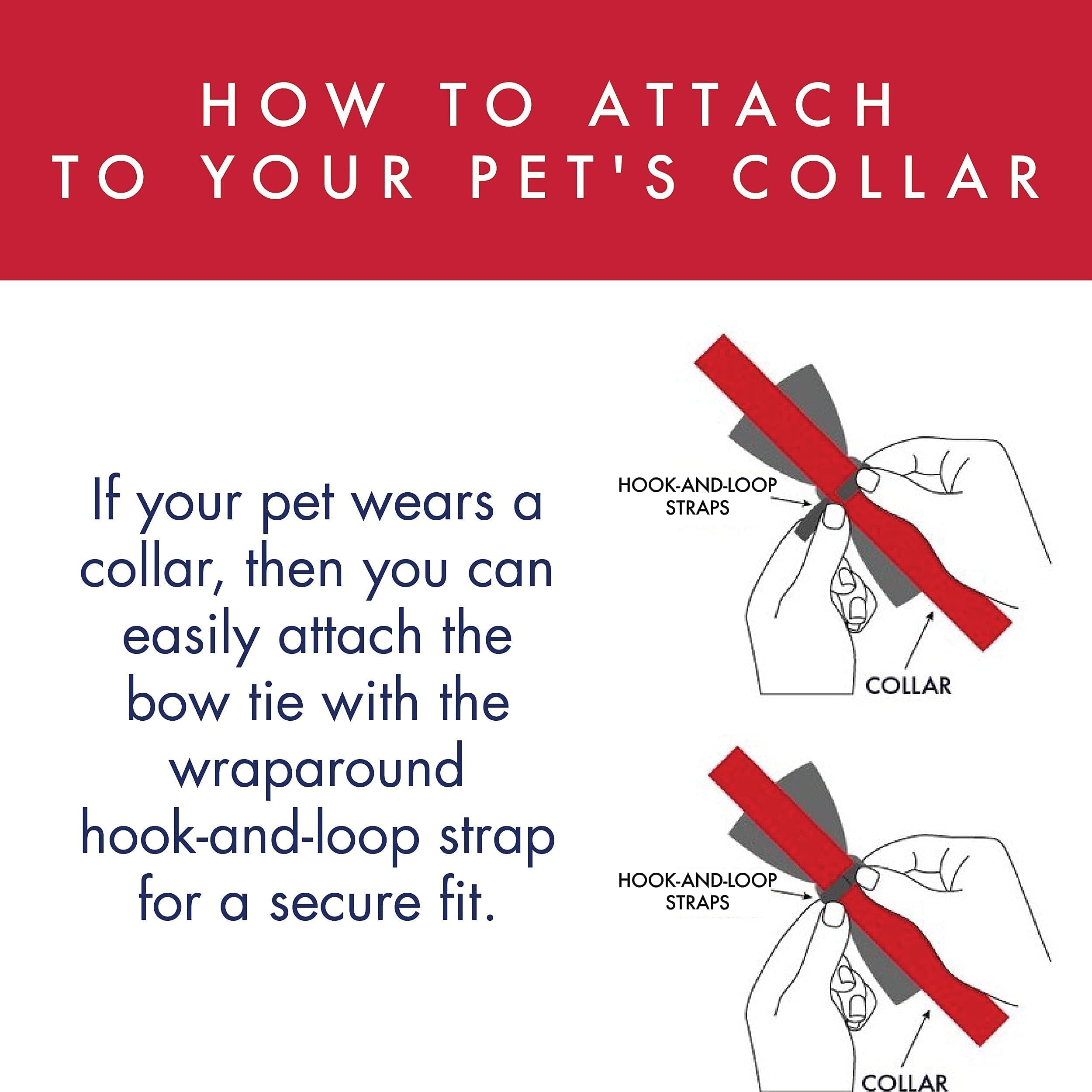 Huxley & Kent Extra-Large Lucky Charm Bow Tie for Dogs & Cats - St. Patrick's Day Pet Accessory | Cute, Comfortable & Durable Dog Cat Bowtie Collar Attachment | Perfect for St. Patrick's Day Parties, Pet Photos & Holiday Celebrations