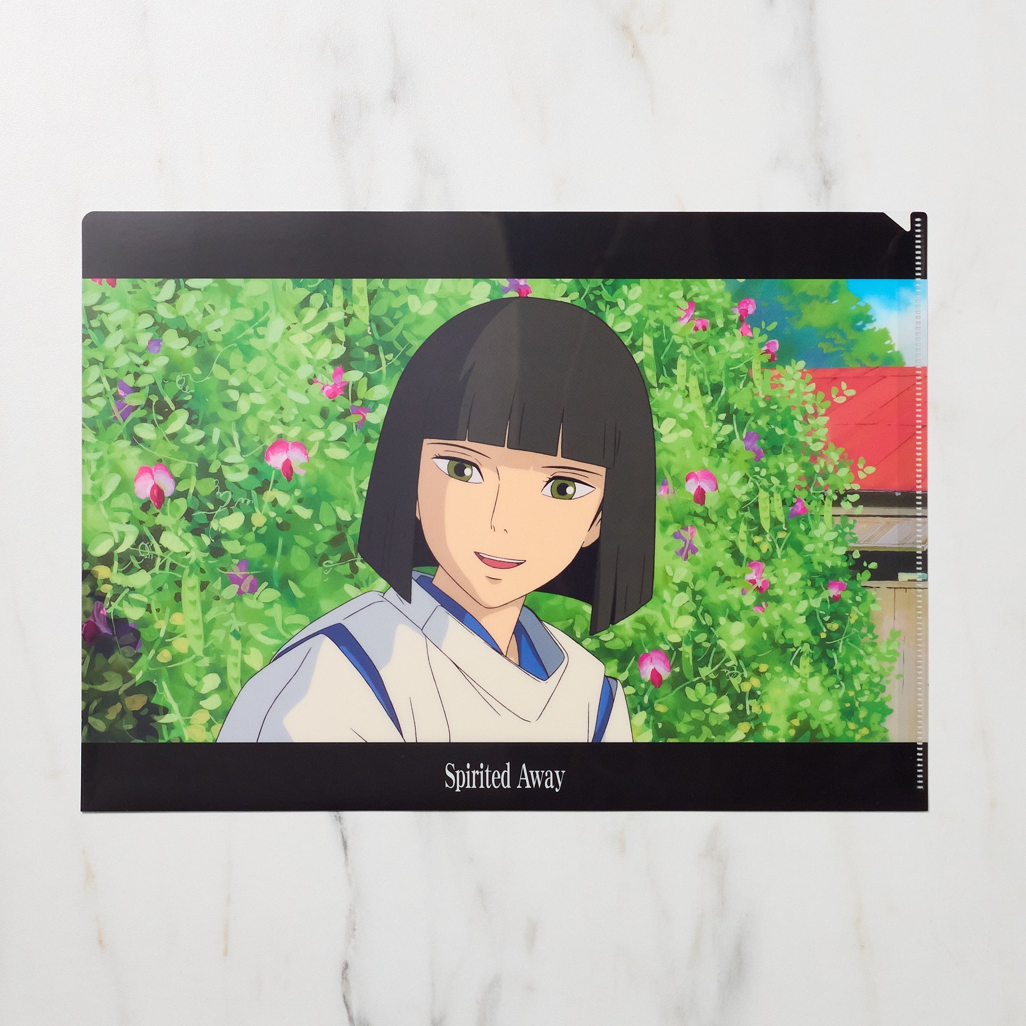 Studio Ghibli Spirited Away Scenes A4 Clear File Folder - Anime Document Organizer for Office, School & Travel | Perfect for Ghibli Fans & Collectors
