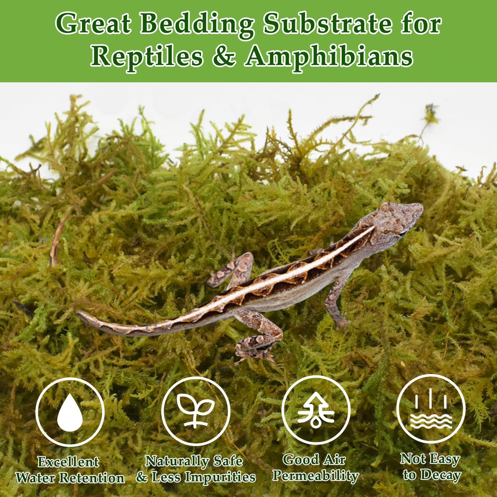 Premium 9OZ Natural Sphagnum Moss for Reptiles - 14QT Long Fiber Green Live Moss for Terrarium Plants | Ideal for Leopard Geckos, Snakes, Hamsters, Tortoises, Frogs, Lizards & Salamanders | Perfect for Reptile Habitats, Vivariums & Terrarium Decorations