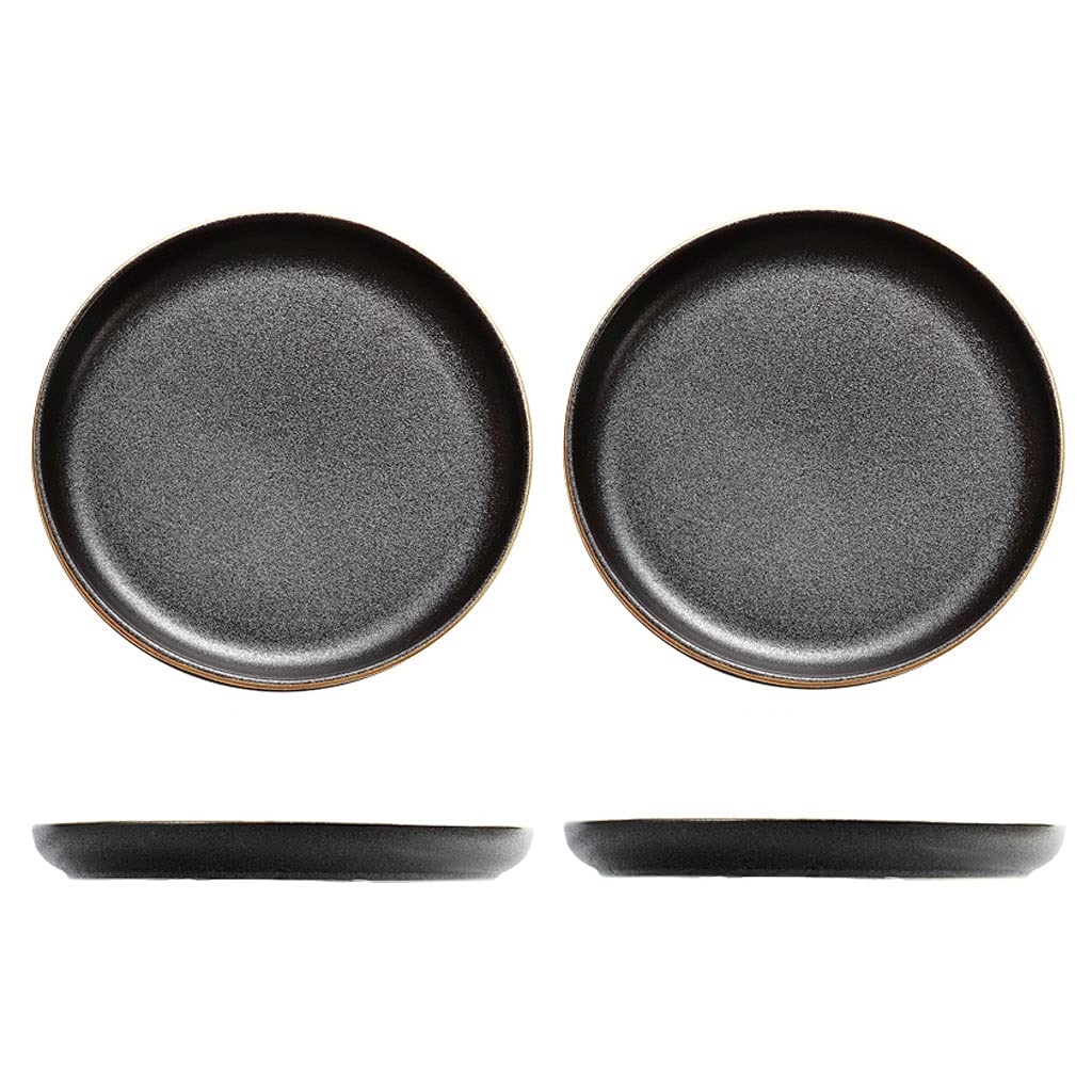 Premium Matte Black Ceramic Dinner Plates Set of 2 - Microwave & Dishwasher Safe Plates for Steak, Salad, Pasta, Sushi & Dessert | Elegant Tableware for Restaurants, Dinner Parties & Home Dining