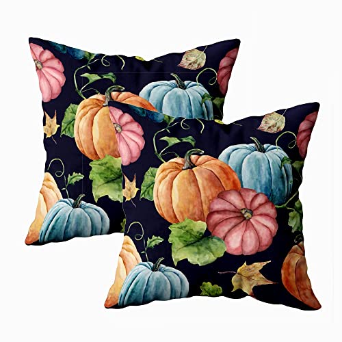 Pumpkin-3