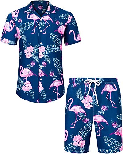 A-blue-flamingo