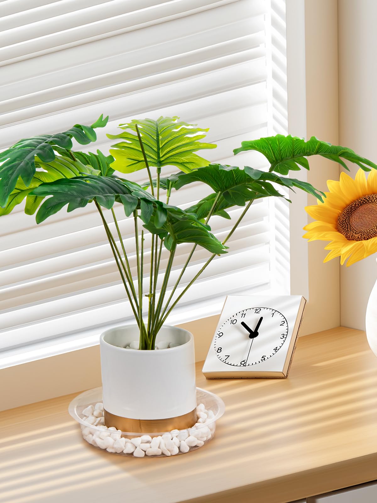 GROWNEER 24 Pack Clear Plastic Plant Saucers & Drip Trays - 6, 8, 10, 12 Inch Flower Pot Trays with 15 Plant Labels for Indoor/Outdoor Plants, Garden, Potted Flowers (4 Sizes, 6pcs Each) - Perfect for Drainage Protection on Decks, Patios & Windowsills
