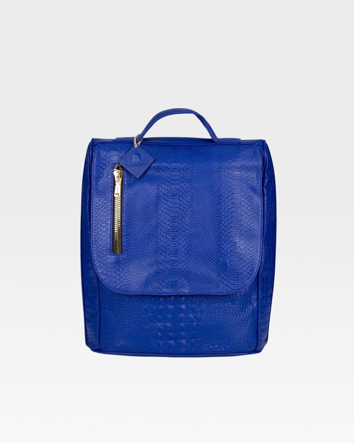 Apollo 2 Waterproof Laptop Backpack for Men & Women - Royal Blue Travel Backpack with USB Charging Port - Perfect for Work, School & Outdoor Adventures