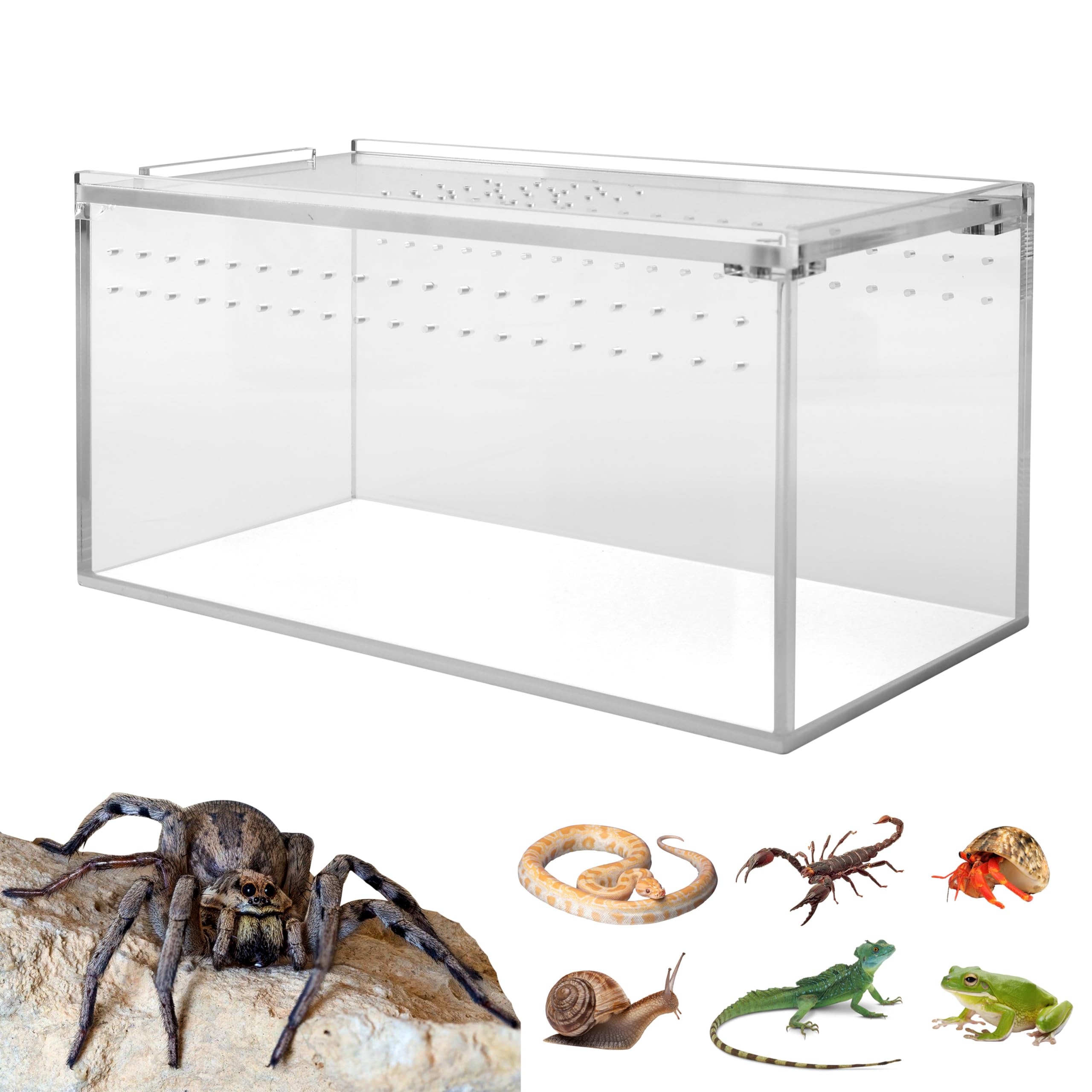 8x4x4 Inch Small Acrylic Tarantula Enclosure with Magnetic Lock - Thickened Terrarium for Isopods, Spiders, Reptiles & Lizards | Perfect for Juvenile Tarantula Habitat & Pet Display