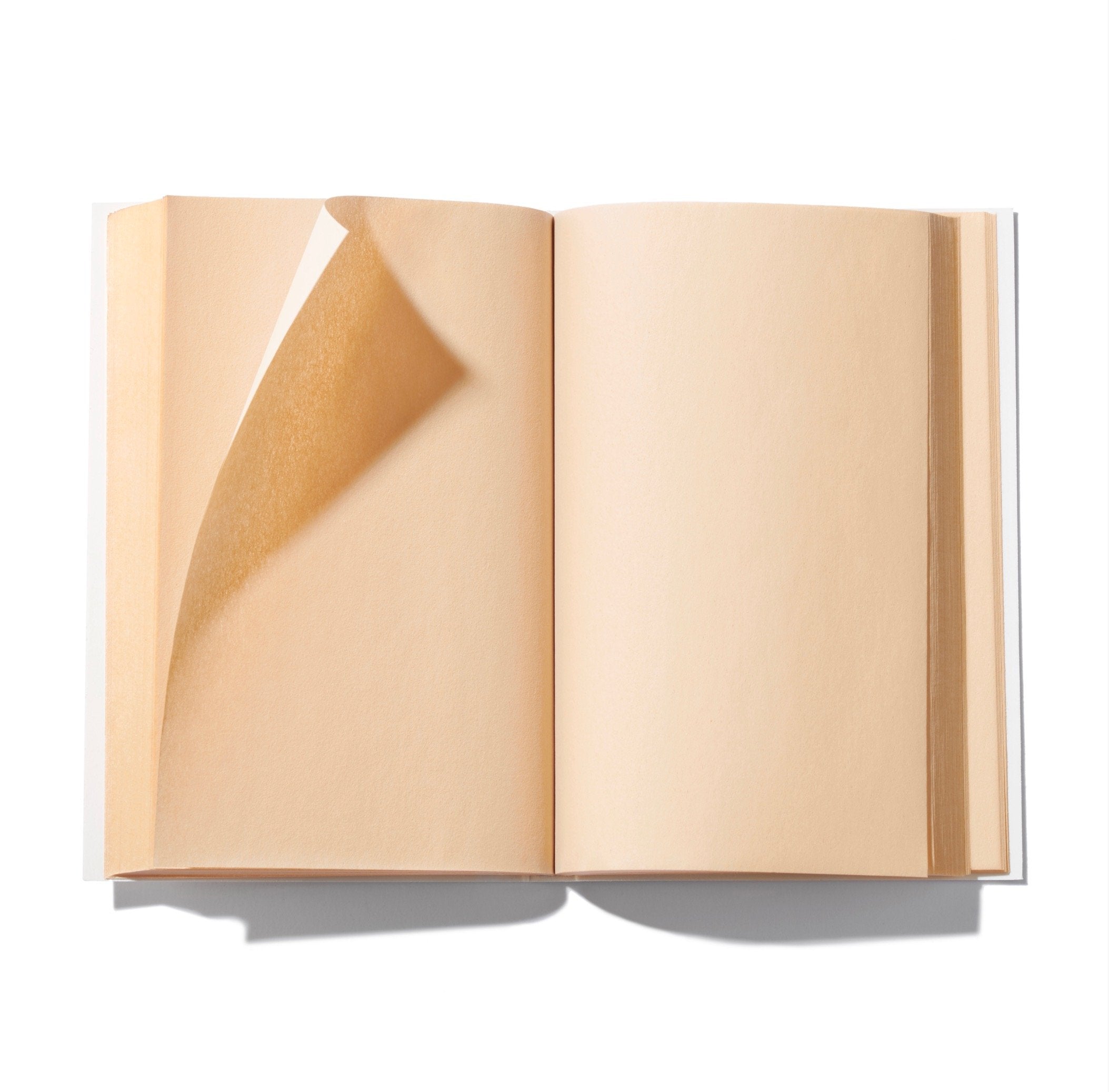Oil Absorbing Blotting Papers for Face - Matte Finish & Shine Control - Perfect for Oily Skin, Makeup Touch-Ups & On-the-Go Use