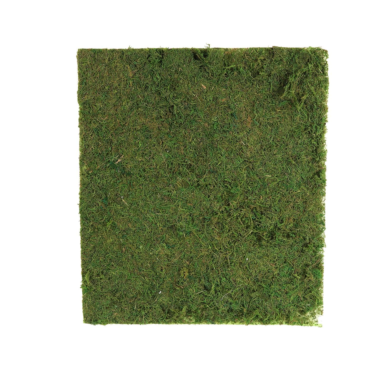 18x16 Inch Green Natural Preserved Moss Sheet - Bulk Wedding, Party & Event Decor for Centerpieces, Crafts, Wholesale Supplies | Perfect for DIY Projects, Floral Arrangements & Home Decor